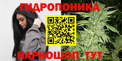 ALPHA PVP Кунгур